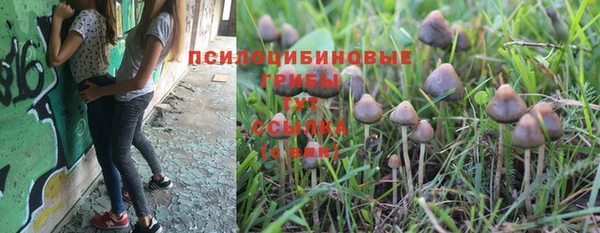 дурь Алексин