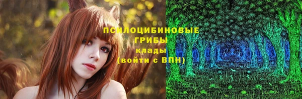 спиды Алексеевка