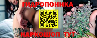 дмт Донской