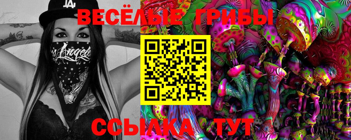 Псилоцибиновые грибы MAGIC MUSHROOMS  Вход с VPN  Первоуральск 